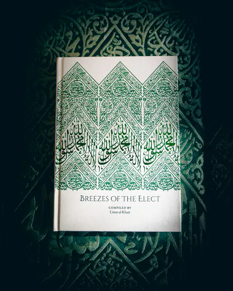 Cover of Breezes of the Elect
