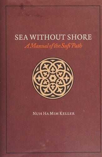 Cover of Sea Without Shore