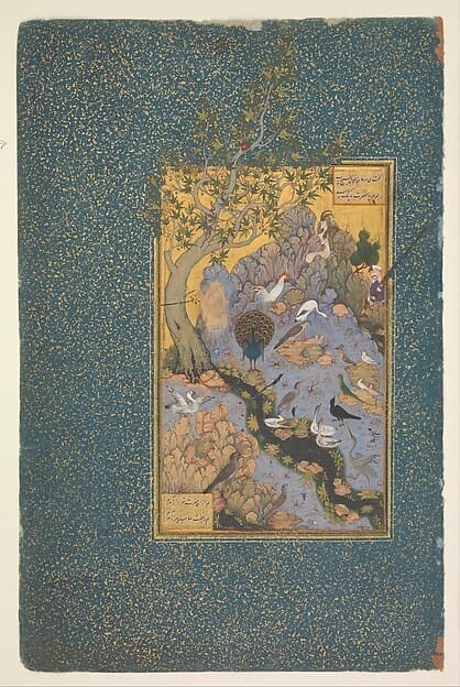 Cover of The Conference of the Birds